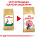 ROYAL CANIN Maine Coon Kitten - Trockenfutter für Katzen - 2 kg - Fotogalerie 4
