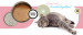 3COTY Turkey Senior - nassfutter für Katzen - 6x80g - Fotogalerie 17