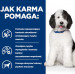 HILL'S PD Canine Urinary Care C/D - Nassfutter für Hunde - 370g - Fotogalerie 3