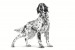 ROYAL CANIN Hypoallergenic - Trockenfutter für Hunde - 2kg - Fotogalerie 6
