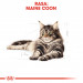 Royal Canin FBN Maine Coon Adult - Trockenfutter für ausgewachsene Katzen - 4kg - Fotogalerie 4