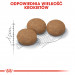 Royal Canin Senior Ageing Sterilised 12+ Katzen-Trockenfutter 4 kg Mais, Geflügel, Gemüse - Fotogalerie 5