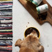 OLLO Umami Goose and turkey - Nassfutter für Hunde - 400g - Fotogalerie 4