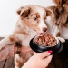 PERRO Gourmet Junior Horsemeat with zucchini - nassfutter für Hunde - 400g - Fotogalerie 2