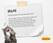 Josera NatureCat Katzen-Trockenfutter 2 kg Adult Geflügel, Lachs - Fotogalerie 2
