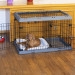 FERPLAST Superior 90 - Hundekäfig - 92 x 58,5 x 62,5 cm - Fotogalerie 10