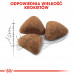 ROYAL CANIN Indoor 27 - Trockenfutter für Katzen - 2 kg - Fotogalerie 4