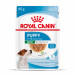 ROYAL CANIN SHN Mini Puppy in Sauce - Nassfutter für Welpen - 12X85g - Fotogalerie 9