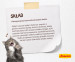 Josera Cat NATURELLE Adult Sterilised Trout – Futter für sterilisierte Katzen – 10 kg - Fotogalerie 3