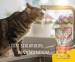 JOSERA Hühnersuppe mit Karotten und Spinat - Nassfutter für Katzen - 70 g - Fotogalerie 3