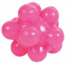 TRIXIE Bubble Ball Set 4-tlg 3,5cm - Fotogalerie 5