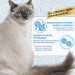 INABA Churu Skin&Coat Chicken recipe - Katze behandeln - 4x14 g - Fotogalerie 7