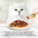 PURINA GOURMET GOLD Stücke in Sauce Mix 4 Geschmacksrichtungen - Nassfutter für Katzen - 96x85g - Fotogalerie 8