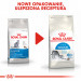 ROYAL CANIN Indoor 27 - Trockenfutter für Katzen - 2 kg - Fotogalerie 5