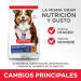 HILL'S Science Plan Mature Adult Medium Lamb and rice - Trockenfutter für Hunde - 2.5 kg - Fotogalerie 3