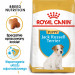 Royal Canin SHN Breed Jack Russell Junior - Trockenfutter für Hunde Geflügel, Reis - 3 kg - Fotogalerie 9
