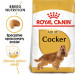 ROYAL CANIN Adult Cocker - Trockenfutter für Hunde - 12 kg - Fotogalerie 8