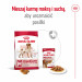 ROYAL CANIN SHN Medium Adult - trockenfutter für Hunde - 15kg - Fotogalerie 7