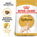 Royal Canin Sphynx Trockenfutter für Katzen 2 kg - Fotogalerie 4