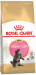 ROYAL CANIN Maine Coon Kitten - Trockenfutter für Katzen - 2 kg - Fotogalerie 10