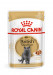 ROYAL CANIN British Shorthair Paket 12x85g - Fotogalerie 1