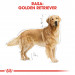 ROYAL CANIN BHN Golden Retriever Trockenfutter für Hunde - 12kg - Fotogalerie 7
