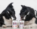 RAW PALEO Adult Monoprotein Beef – Nassfutter für Hunde – 800 g - Fotogalerie 2