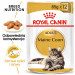 ROYAL CANIN FBN Maine Coon - Nassfutter für Katzen - Beutel 12x 85g - Fotogalerie 2