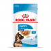 ROYAL CANIN Maxi Puppy SHN - nassfutter für Hunde - 10x140g - Fotogalerie 6
