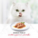 GOURMET Mon Petit Poultry Mix - Katzen Nassfutter - 6 x 50 g - Fotogalerie 8