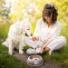 RAW PALEO Adult Monoprotein Pork – Nassfutter für Hunde – 400 g - Fotogalerie 2