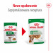 ROYAL CANIN Mini Ageing - nassfutter für Hunde - 12 x 85g - Fotogalerie 7