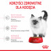 ROYAL CANIN Kitten - Trockenfutter für Katzen - 2 kg - Fotogalerie 2