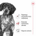 ROYAL CANIN SHN Medium Adult in Sauce - Nassfutter für ausgewachsene Hunde - 10x140g - Fotogalerie 6
