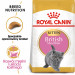 Royal Canin British Shorthair Kitten Katzen-Trockenfutter 2 kg Geflügel, Reis, Gemüse - Fotogalerie 8