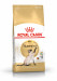 ROYAL CANIN Siamese Adult - Trockenfutter für Katzen - 2 kg - Fotogalerie 1