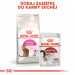 ROYAL CANIN Savour Exigent Adult - trockenfutter für Katzen - 400g - Fotogalerie 7