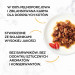 GOURMET GOLD - Casserole Rindfleisch und Huhn 85g - Fotogalerie 6