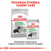 ROYAL CANIN CCN Medium Digestive Care - Trockenfutter für Hunde - 3 kg - Fotogalerie 2