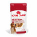 ROYAL CANIN SHN Medium Adult in Sauce - Nassfutter für ausgewachsene Hunde - 10x140g - Fotogalerie 12