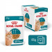 ROYAL CANIN Ageing 11+ Chunks in gravy - nassfutter für Katzen - 12x85g - Fotogalerie 1