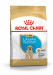 ROYAL CANIN SHN Breed Labrador Junior Trockenfutter für Hunde - 12 kg. - Fotogalerie 1