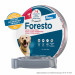 ELANCO Foresto Halsband für Hunde über 8 kg - Fotogalerie 4
