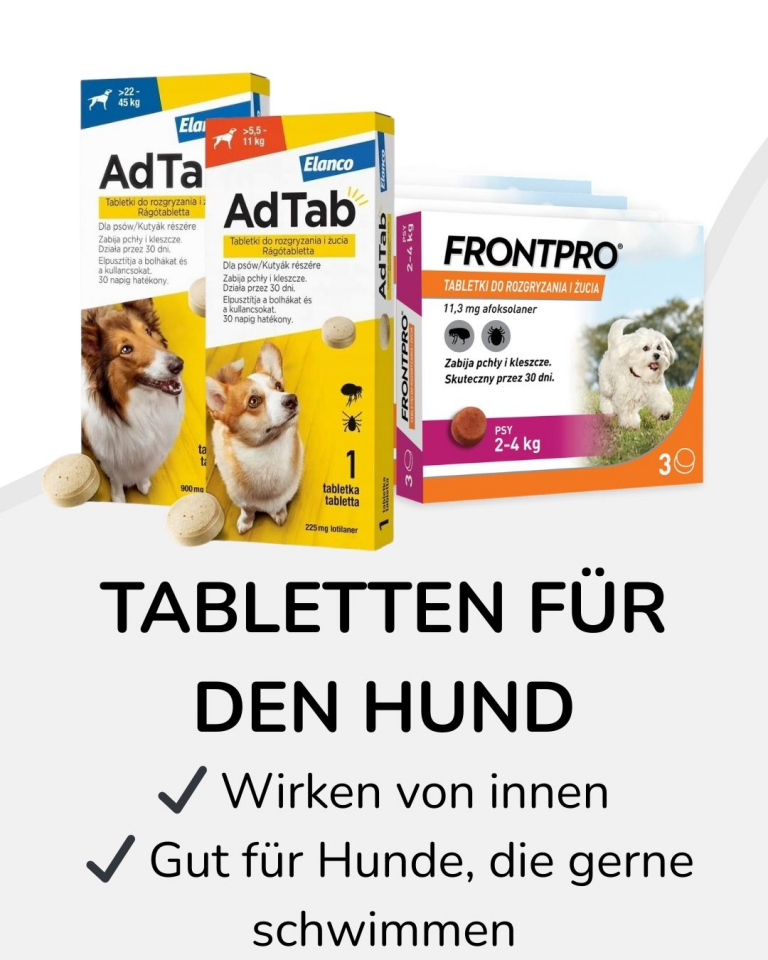 tabletten fur den hund