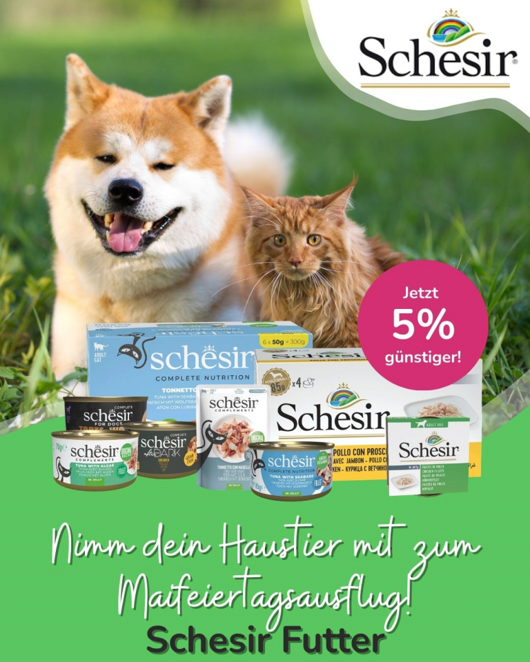 [OFERTA SPECJALNA] Majówka z pupilem