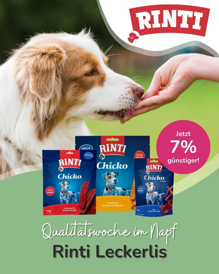 [OFERTA SPECJALNA] - Luty Rinti