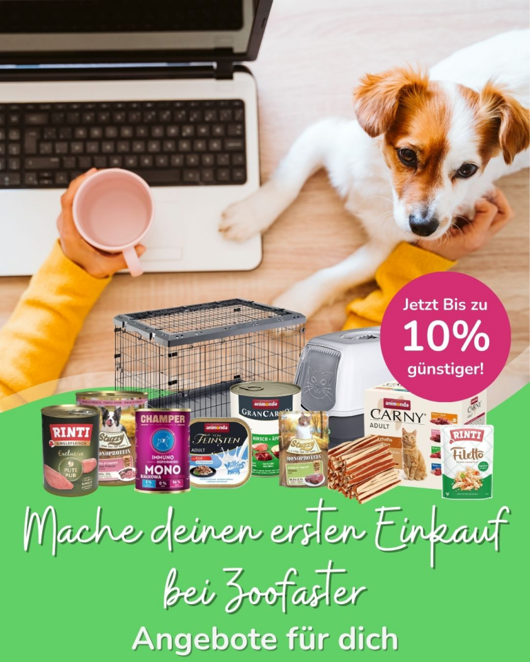 [OFERTA SPECJALNA] Maj pierwsze zakupy