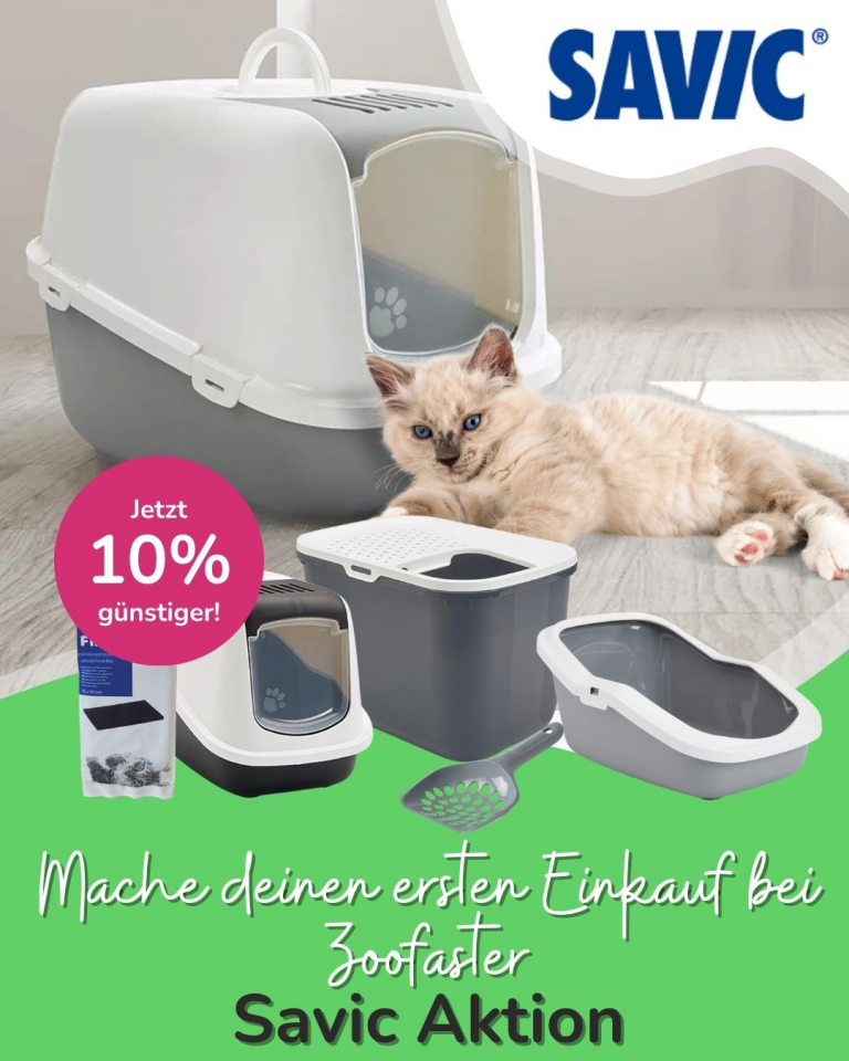 [OFERTA SPECJALNA] Maj pierwsze zakupy
