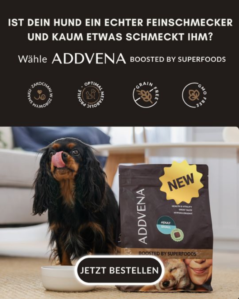 Addvena