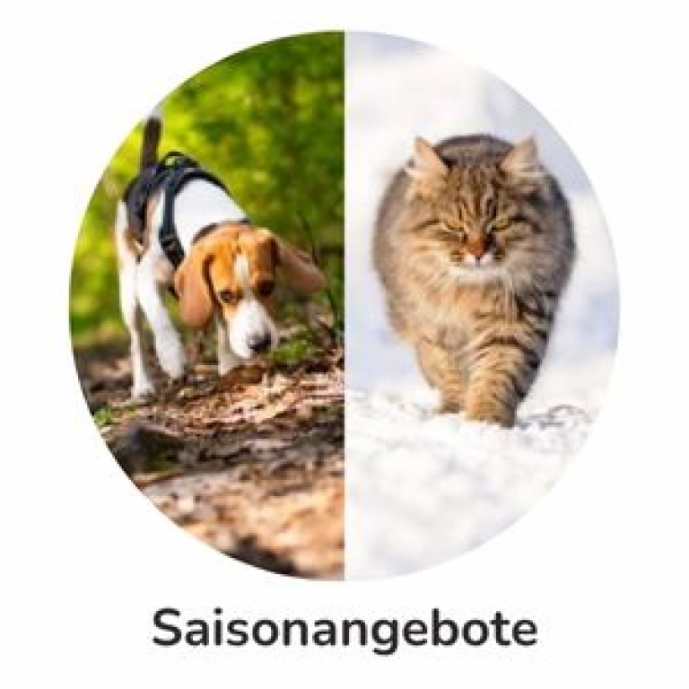 Saisonangebote